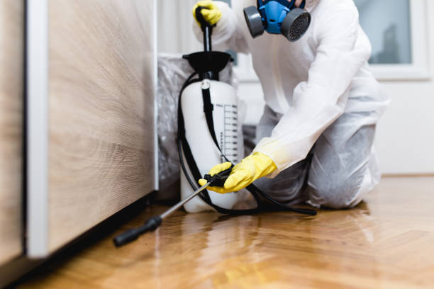 Best Affordable Pest Control Services  in Rowlett, TX