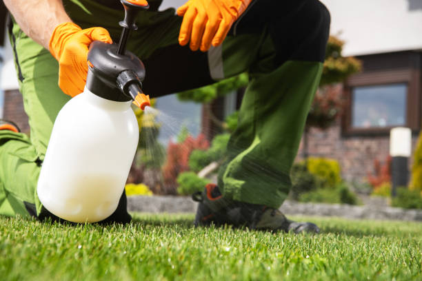 Pest Control Cost in Rowlett, TX