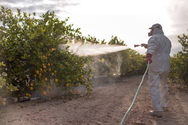 Best Commercial Pest Control Services  in Rowlett, TX