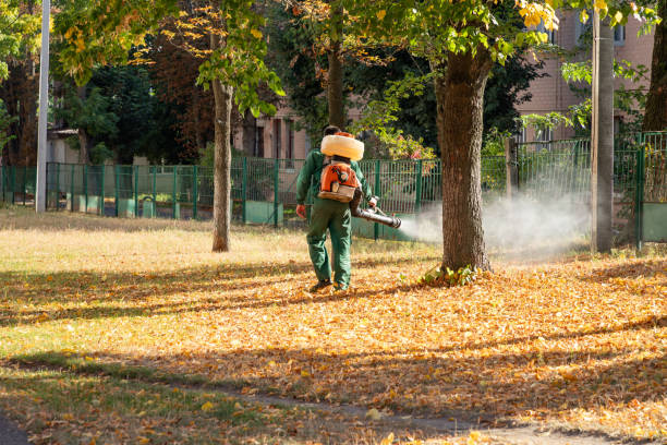 Best Best Pest Control Companies  in Rowlett, TX